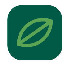 Interactive Smart Log